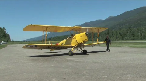 Tiger Moth Stock Footage 135425