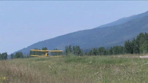 Tiger Moth Stock Footage 135429