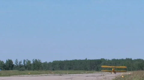 Tiger Moth Stock Footage 135438