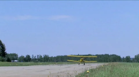 Tiger Moth Video stock 135439