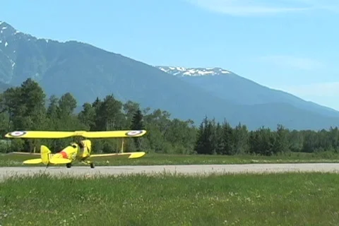 Tiger Moth Stock Footage 135451