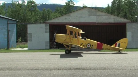 Tiger Moth Stock Footage 135463