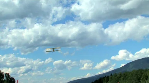 Tiger Moth Stock Footage 135464