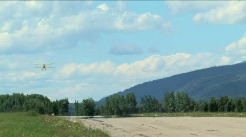 Tiger Moth Stock Footage 135468