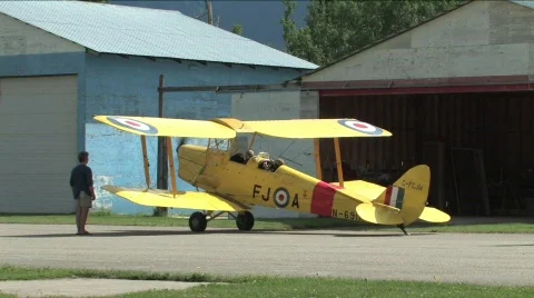 Tiger Moth Stock Footage 135472