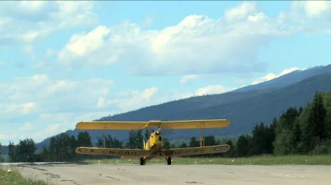 Tiger Moth  Stock Footage 135476