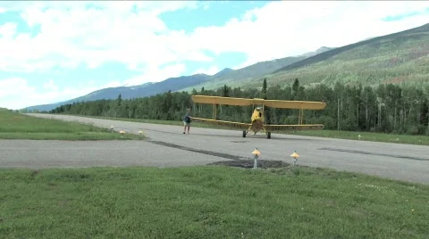 Tiger Moth Stock Footage 135479