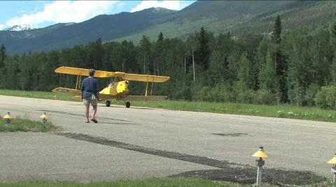 Tiger Moth Stock Footage 135483