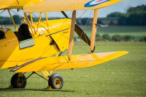 Tiger moth 스톡 사진