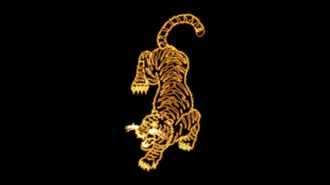 Tiger Neon Glowing Animation Stock-Footage 251676192