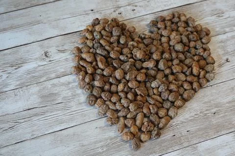 Tiger nuts forming heart shape on wood Stock Photos
