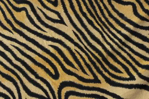 Tiger pattern background or real texture tiger black orange stripe pattern .. Stock Photos