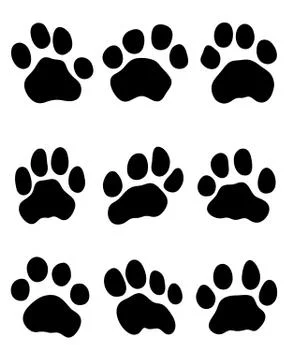 Tiger paw Stock Illustration