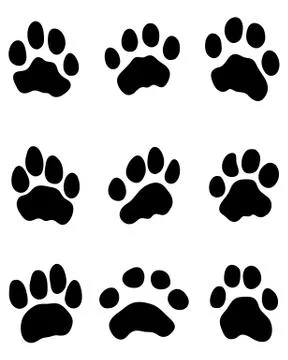 Tiger paw Stock Illustration