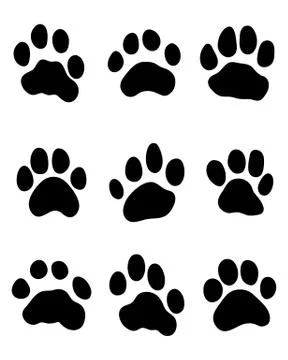 Tiger paw Stock Illustration