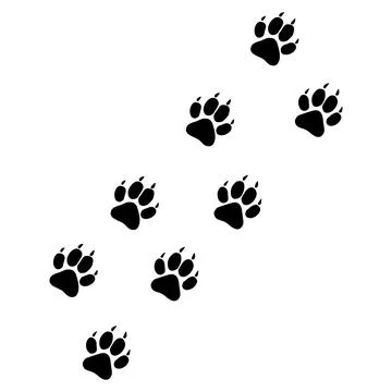Tiger Paw Trace Flat Icon Illustration Stock Illustration