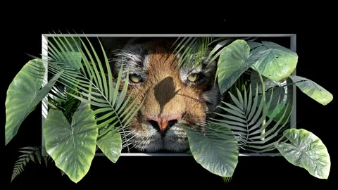 Tiger Peeking in Jungle Breaking Through Screen 3D Naked-Eye Nature Background 動画素材 331917390