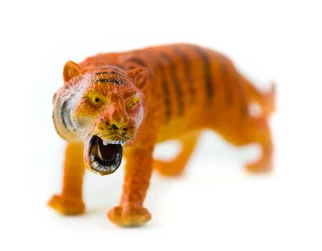 Tiger Stock Photos