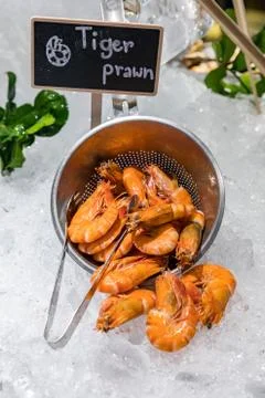 Tiger Prawn on ice Stock Photos