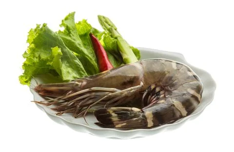 Tiger prawn Stock Photos