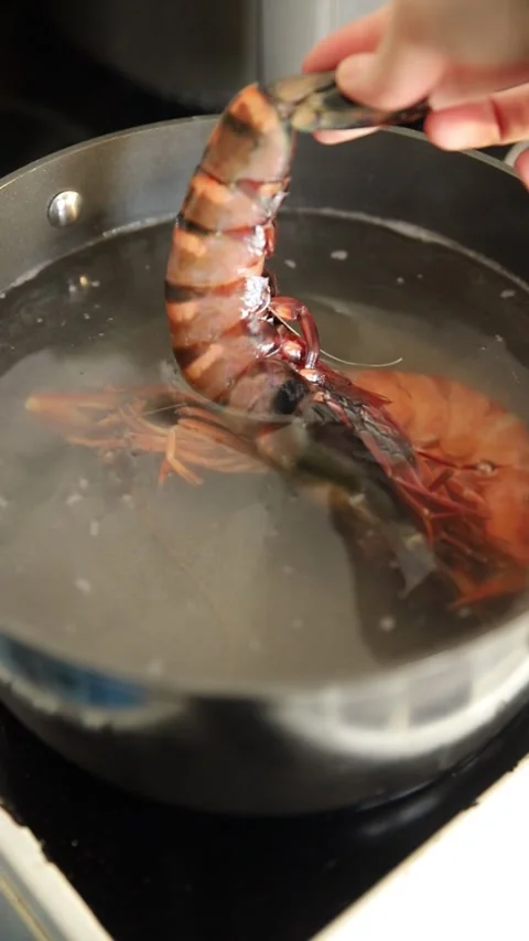 Tiger prawn raw king gambas shrimp seafood natural food ingredient Stock Footage 330669723