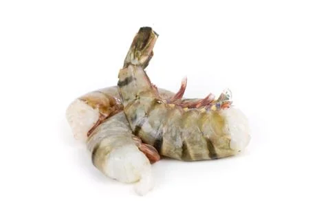 Tiger prawns isolated Stock Photos