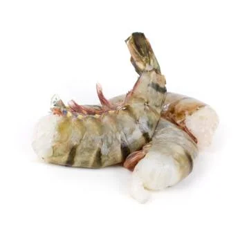 Tiger prawns isolated Stock Photos
