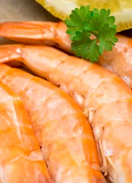 Tiger Prawns Stock Photos