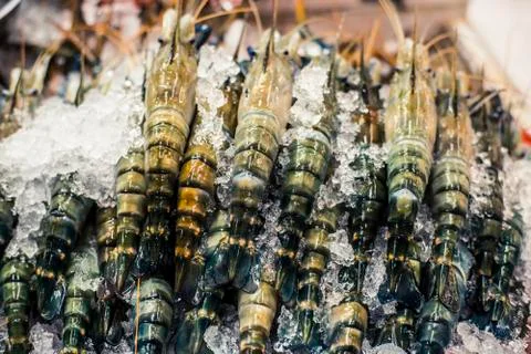 Tiger Prawns Stock Photos