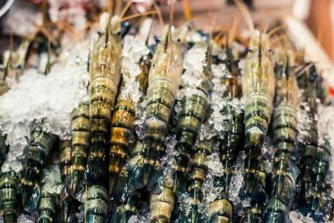Tiger Prawns Stock Photos