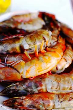 Tiger Prawns Stock Photos