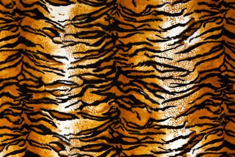 Tiger Print Background Stock Photos