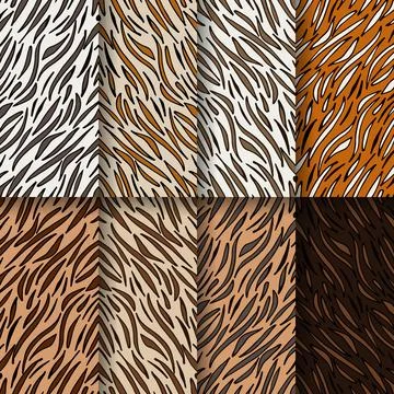 Tiger print skin vector illustration design set 스톡 일러스트