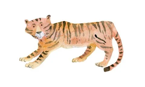 Tiger in profile, looking at the viewer. Wild animals. Watercolour illustrati Stock Illustration