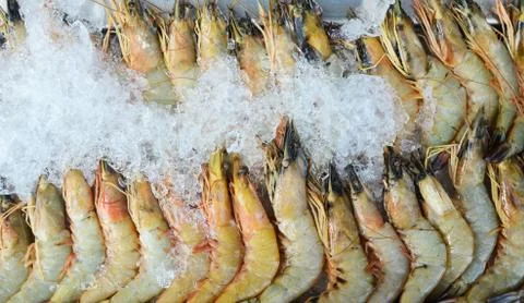 Tiger prowns Stock Photos