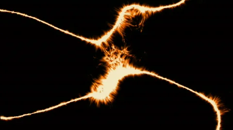 Tiger rays Stockbeeldmateriaal 420014