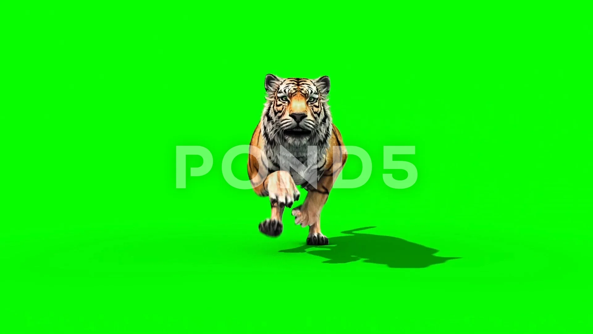 Hình nền màu xanh lá cây cho chú hổ chạy như bay trên màn hình. Bạn có muốn xem hình ảnh này để trải nghiệm cảm giác tuyệt vời và mạnh mẽ đó không?