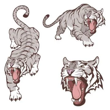 Tiger set, suitable as logo or team mascot. Bengal Tiger. Stock Illustration