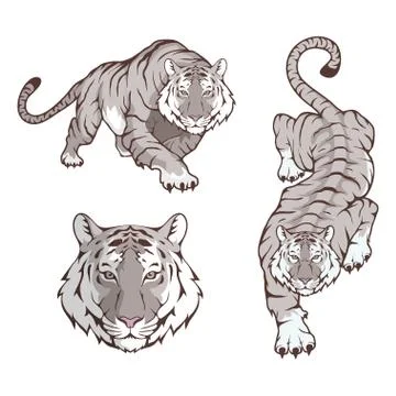Tiger set, suitable as logo or team mascot. Bengal Tiger. Stock Illustration