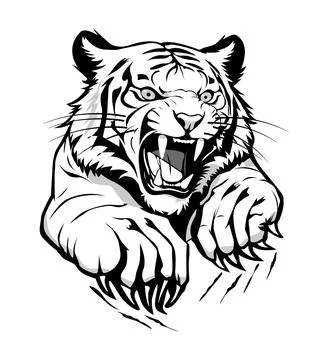 Tiger with sharp claws Illustrazione stock