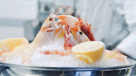 Tiger shrimp Stock Footage 113852569