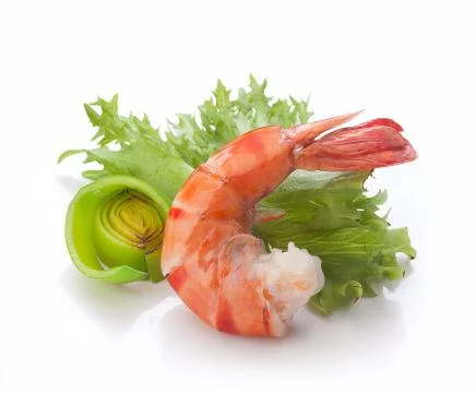 Tiger shrimp Stock Photos