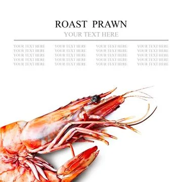 Tiger shrimp Stock Photos