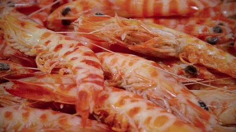Tiger shrimp prepared for distribution Stock-Footage 90722040