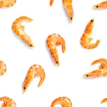 Tiger shrimp. Seamless pattern made from Prawn isolated on a white background Stock Photos