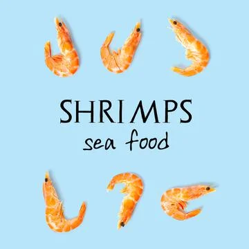 Tiger shrimp. Seamless pattern made from Prawn isolated on a blue background Stock Photos