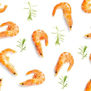 Tiger shrimp. Seamless pattern made from Prawn isolated on a white background Stock Photos