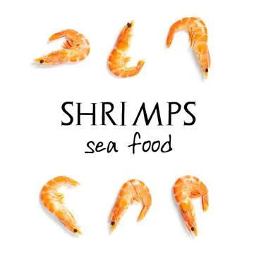 Tiger shrimp. Seamless pattern made from Prawn isolated on a white background Foto stock