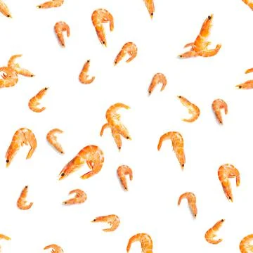 Tiger shrimp. Seamless pattern made from Prawn isolated on a white background 写真素材