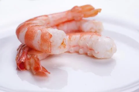 Tiger shrimps Stock Photos